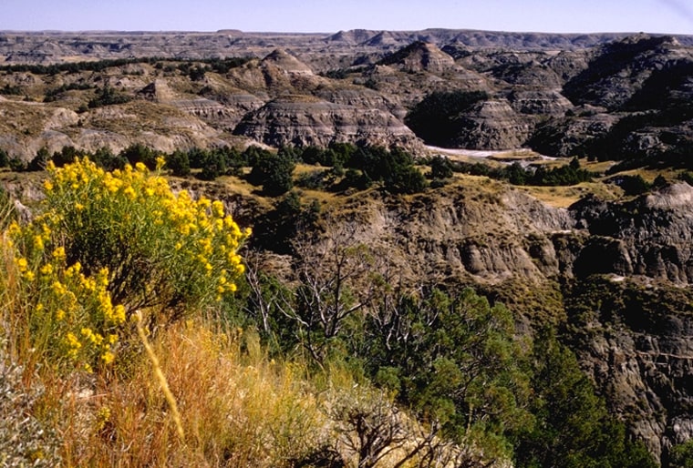 Considered to be a fantastic park for both wildlife and scenery, Theodore Roosevelt National Park in North Dakota offers visitors a chance to tour a cabin in which Teddy Roosevelt himself lived when he ranched the Badlands in the 1880s.